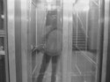 Reflections of me